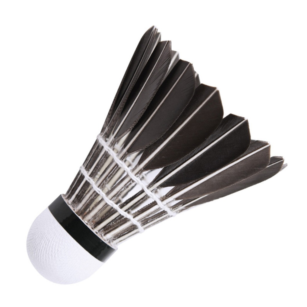 Volant professionnel de badmin - Badminton Nylon Shuttlecock avis et prix