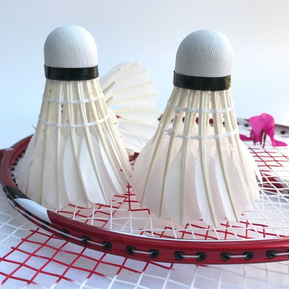 3/6/12 pièces volant de Badmin - Badminton Nylon Shuttlecock avis et prix